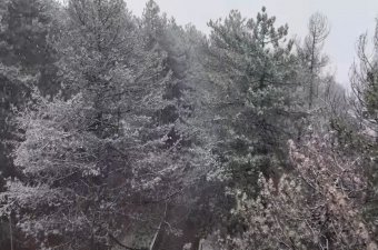 BİLECİK KÜÇÜKELMALI TABİAT PARKI KAR YAĞIŞI 4K DRONE ÇEKİMİ